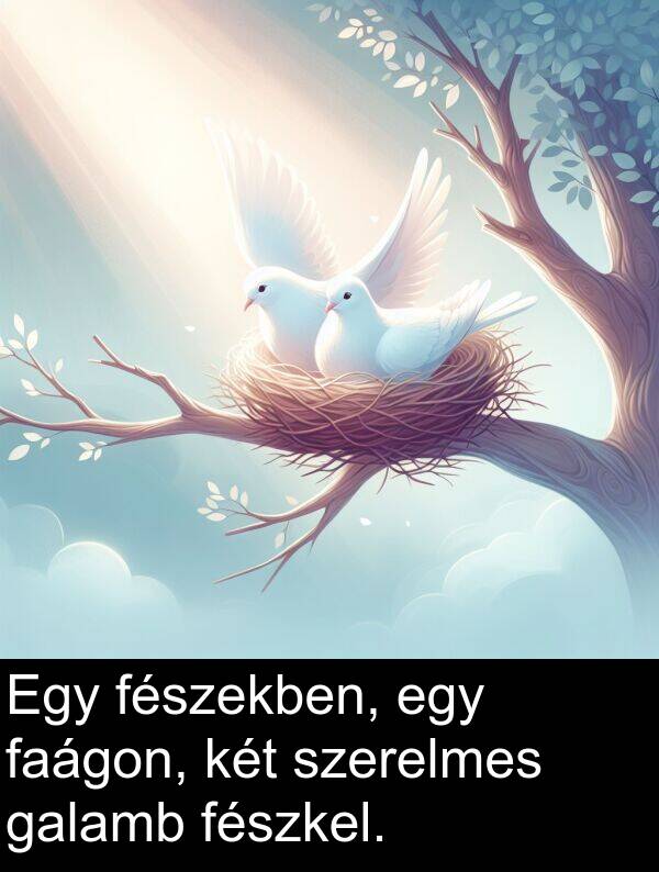 szerelmes: Egy fészekben, egy faágon, két szerelmes galamb fészkel.