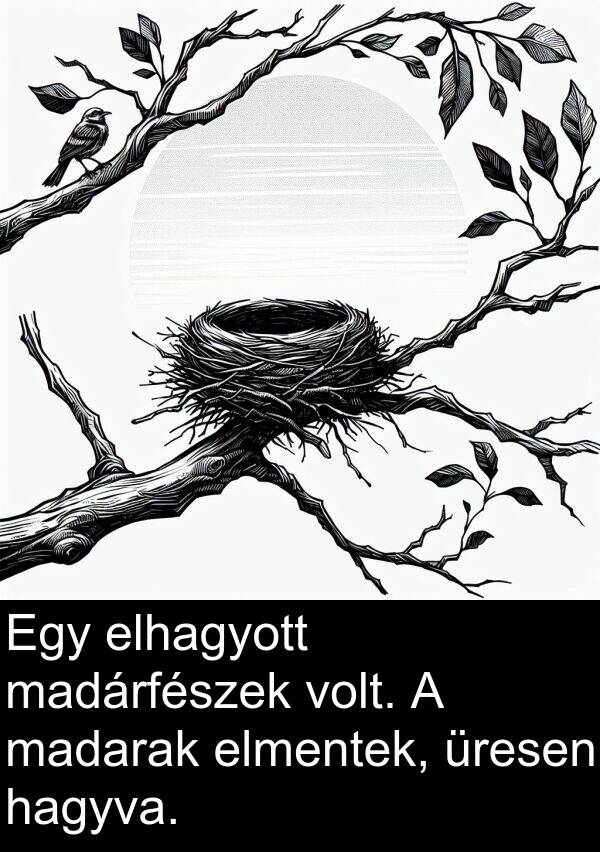 madarak: Egy elhagyott madárfészek volt. A madarak elmentek, üresen hagyva.