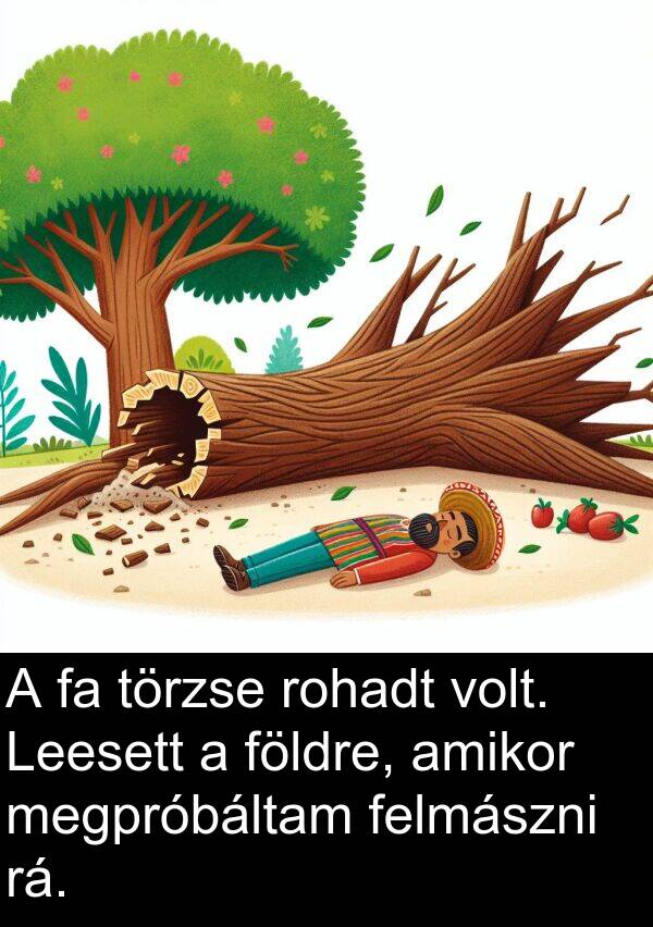 rá: A fa törzse rohadt volt. Leesett a földre, amikor megpróbáltam felmászni rá.