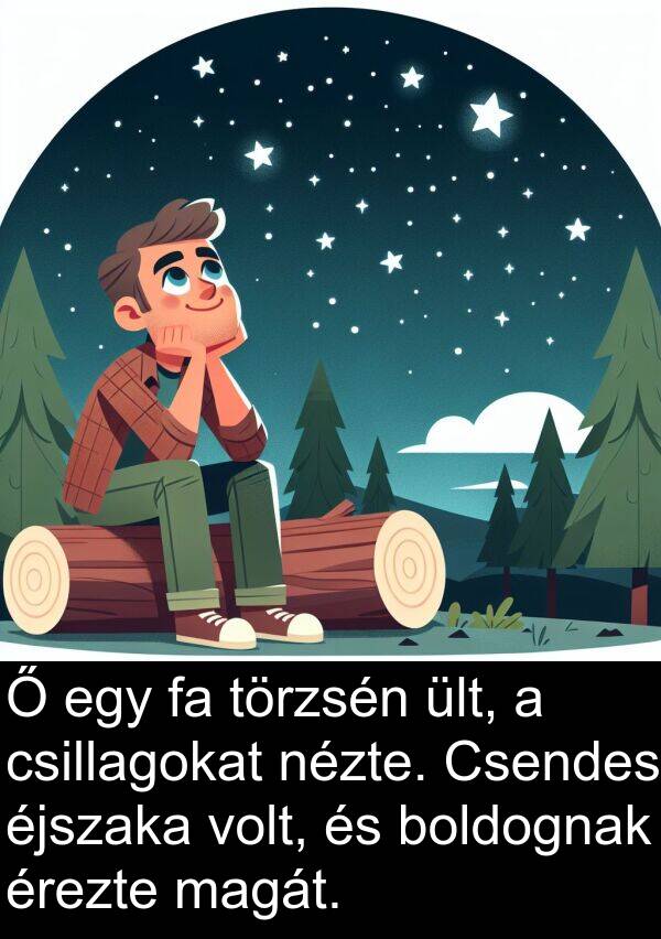 magát: Ő egy fa törzsén ült, a csillagokat nézte. Csendes éjszaka volt, és boldognak érezte magát.