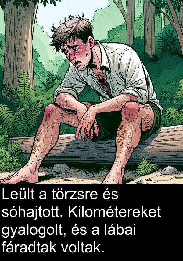 sóhajtott: Leült a törzsre és sóhajtott. Kilométereket gyalogolt, és a lábai fáradtak voltak.