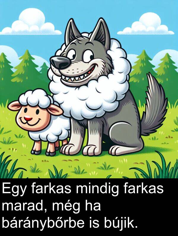 marad: Egy farkas mindig farkas marad, még ha báránybőrbe is bújik.
