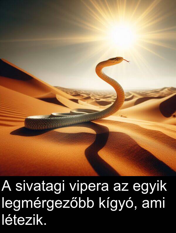ami: A sivatagi vipera az egyik legmérgezőbb kígyó, ami létezik.