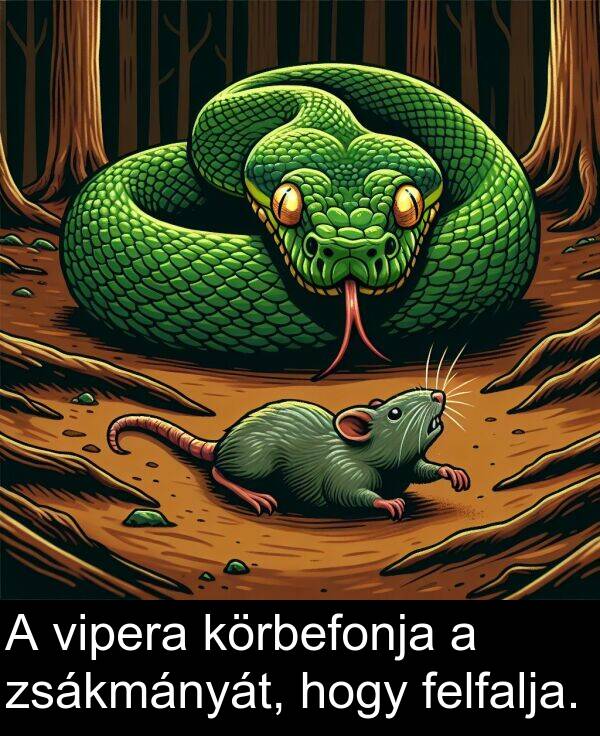 zsákmányát: A vipera körbefonja a zsákmányát, hogy felfalja.