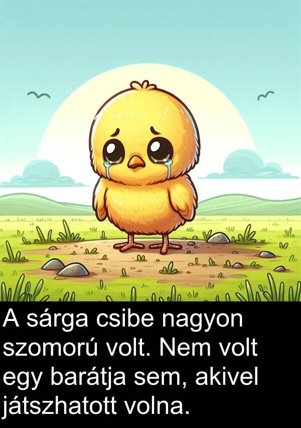 játszhatott: A sárga csibe nagyon szomorú volt. Nem volt egy barátja sem, akivel játszhatott volna.