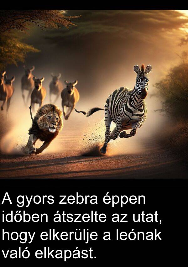 zebra: A gyors zebra éppen időben átszelte az utat, hogy elkerülje a leónak való elkapást.