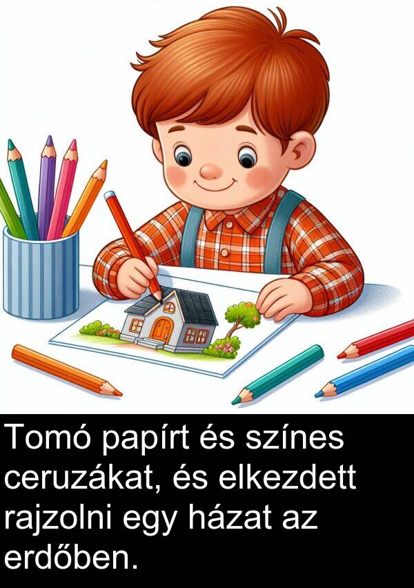 papírt: Tomó papírt és színes ceruzákat, és elkezdett rajzolni egy házat az erdőben.