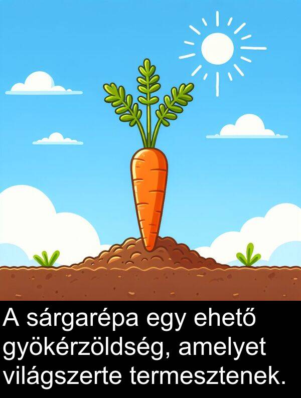 sárgarépa: A sárgarépa egy ehető gyökérzöldség, amelyet világszerte termesztenek.