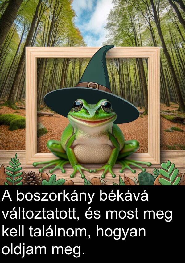 találnom: A boszorkány békává változtatott, és most meg kell találnom, hogyan oldjam meg.