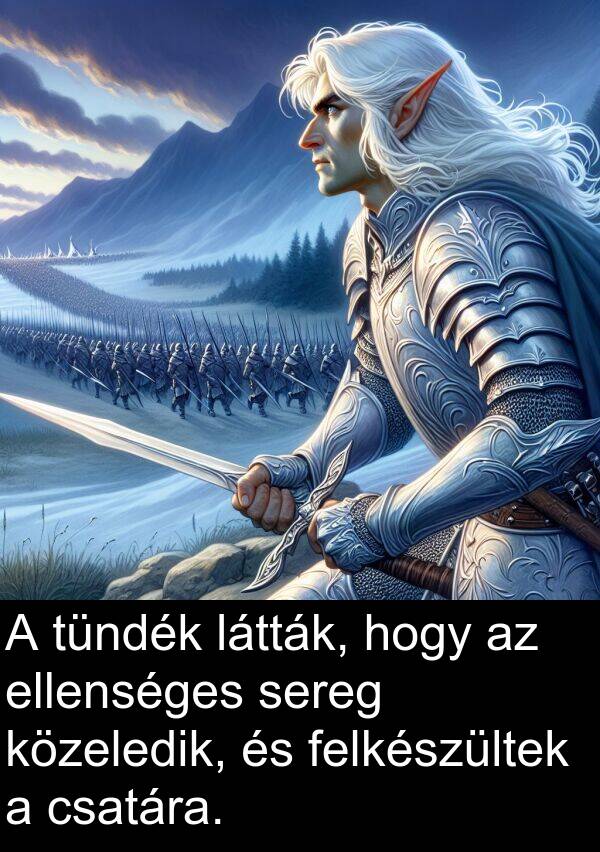 csatára: A tündék látták, hogy az ellenséges sereg közeledik, és felkészültek a csatára.