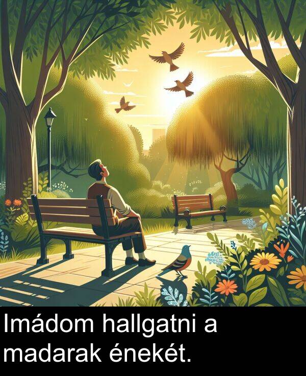 madarak: Imádom hallgatni a madarak énekét.