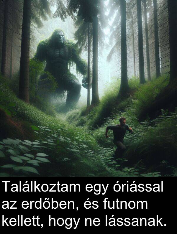 óriással: Találkoztam egy óriással az erdőben, és futnom kellett, hogy ne lássanak.