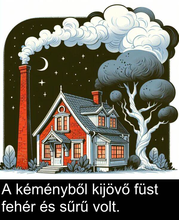 sűrű: A kéményből kijövő füst fehér és sűrű volt.