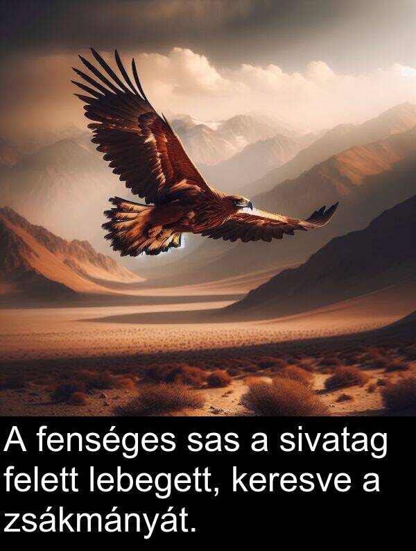 sas: A fenséges sas a sivatag felett lebegett, keresve a zsákmányát.