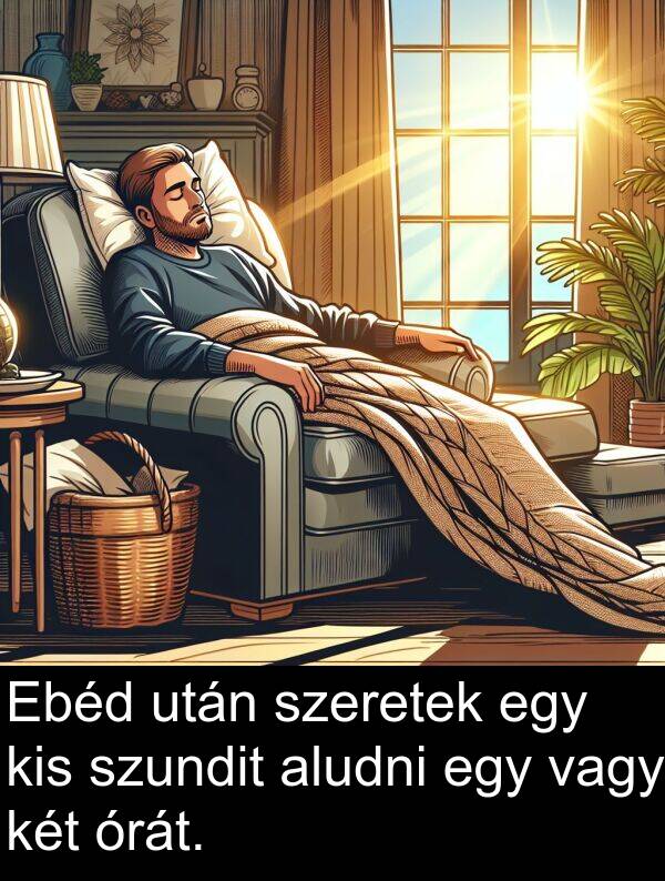 vagy: Ebéd után szeretek egy kis szundit aludni egy vagy két órát.