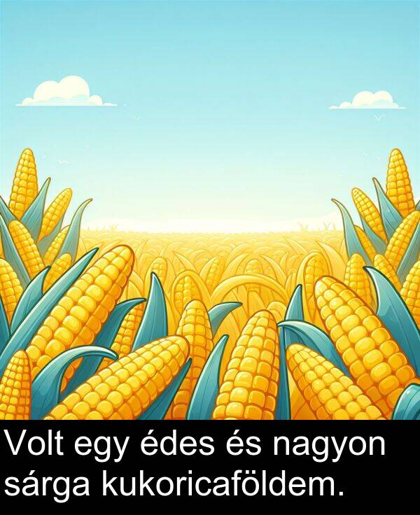 sárga: Volt egy édes és nagyon sárga kukoricaföldem.