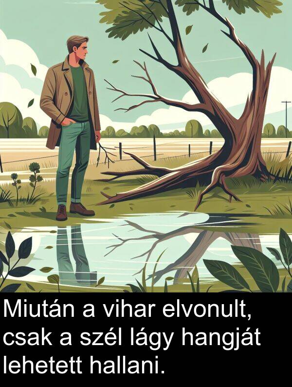 szél: Miután a vihar elvonult, csak a szél lágy hangját lehetett hallani.