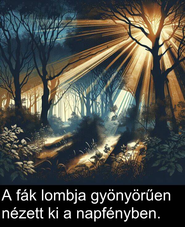 napfényben: A fák lombja gyönyörűen nézett ki a napfényben.