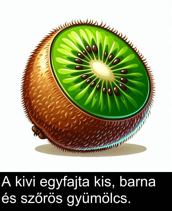 szőrös: A kivi egyfajta kis, barna és szőrös gyümölcs.