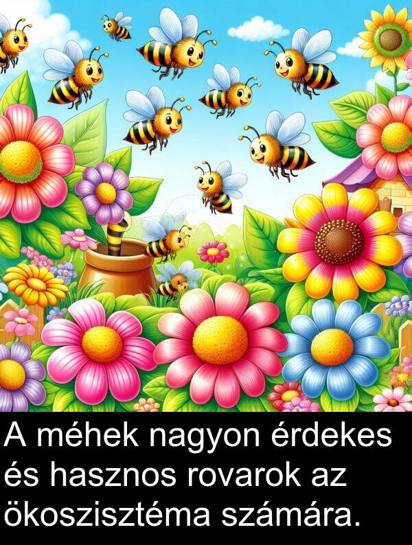 ökoszisztéma: A méhek nagyon érdekes és hasznos rovarok az ökoszisztéma számára.