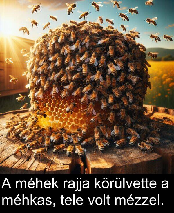rajja: A méhek rajja körülvette a méhkas, tele volt mézzel.