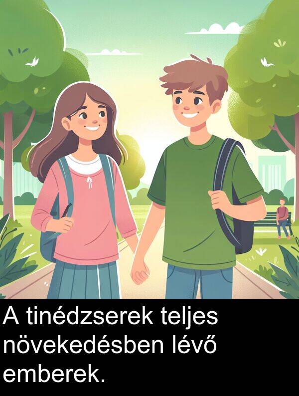 tinédzserek: A tinédzserek teljes növekedésben lévő emberek.