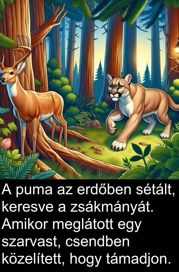 zsákmányát: A puma az erdőben sétált, keresve a zsákmányát. Amikor meglátott egy szarvast, csendben közelített, hogy támadjon.