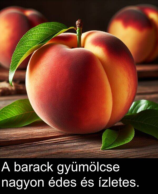 nagyon: A barack gyümölcse nagyon édes és ízletes.