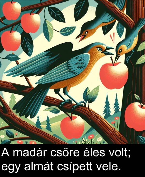 madár: A madár csőre éles volt; egy almát csípett vele.