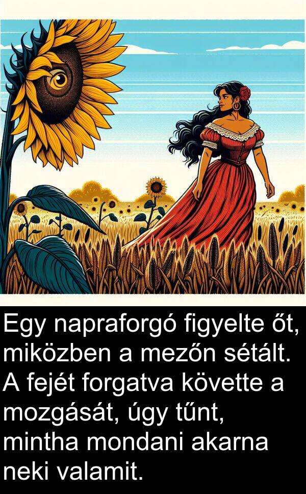 valamit: Egy napraforgó figyelte őt, miközben a mezőn sétált. A fejét forgatva követte a mozgását, úgy tűnt, mintha mondani akarna neki valamit.