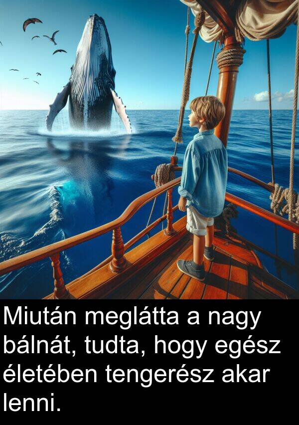 bálnát: Miután meglátta a nagy bálnát, tudta, hogy egész életében tengerész akar lenni.
