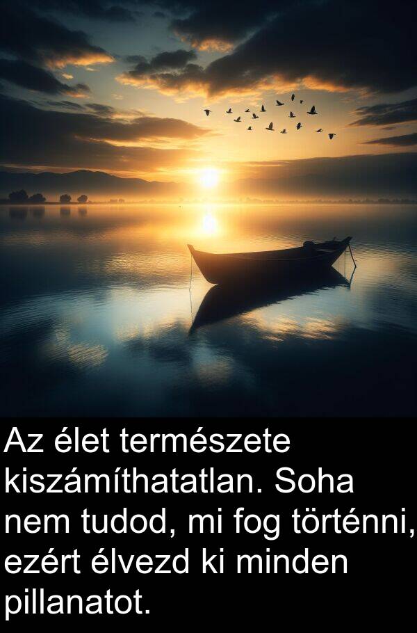 pillanatot: Az élet természete kiszámíthatatlan. Soha nem tudod, mi fog történni, ezért élvezd ki minden pillanatot.