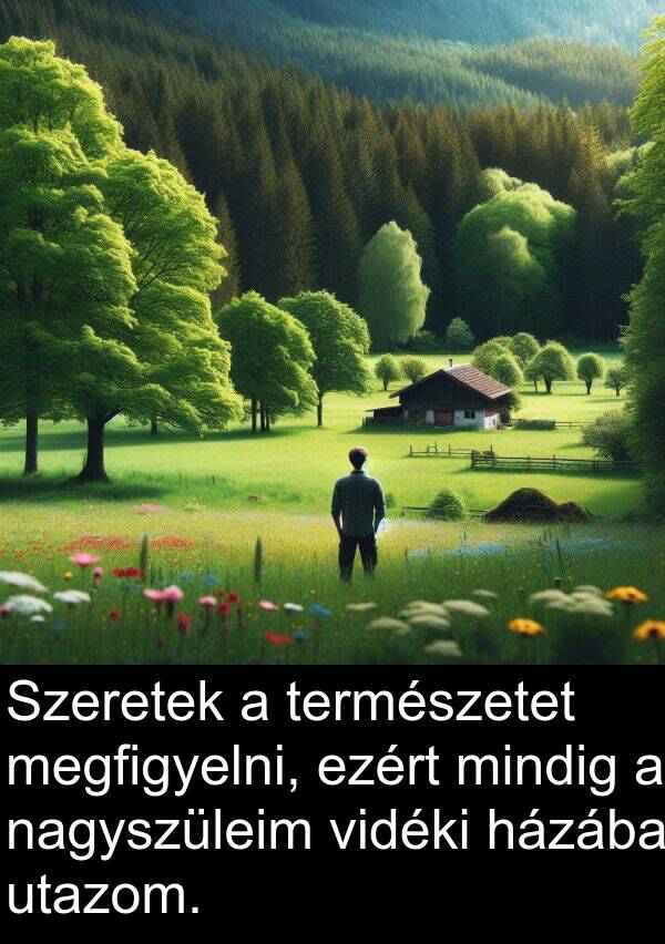 nagyszüleim: Szeretek a természetet megfigyelni, ezért mindig a nagyszüleim vidéki házába utazom.
