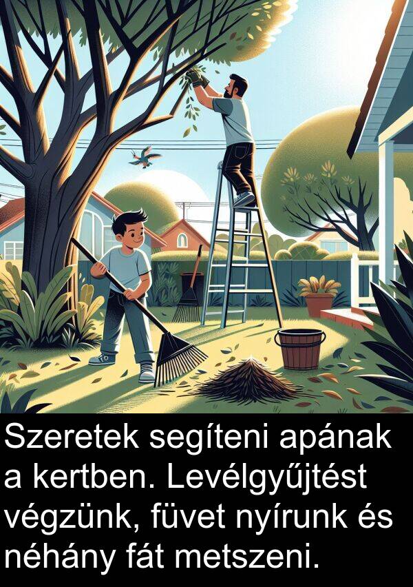segíteni: Szeretek segíteni apának a kertben. Levélgyűjtést végzünk, füvet nyírunk és néhány fát metszeni.