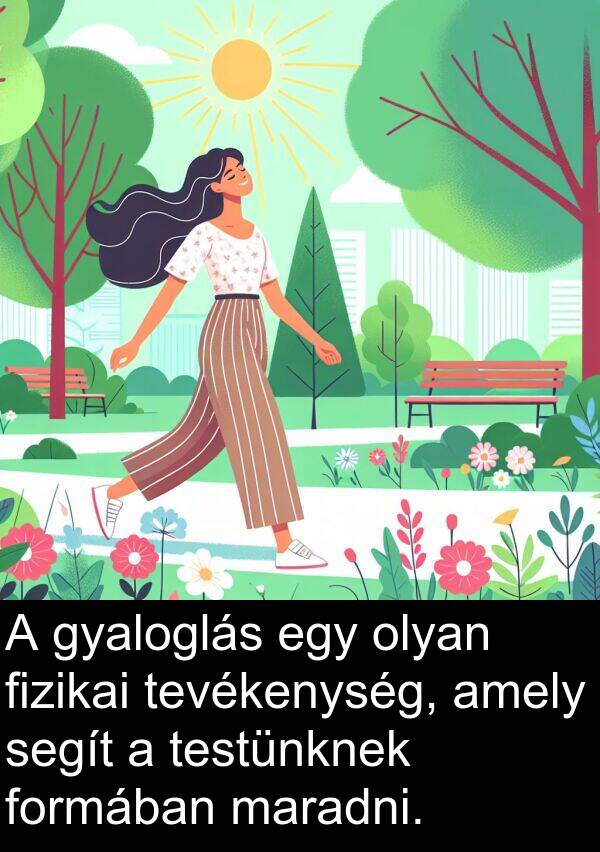 segít: A gyaloglás egy olyan fizikai tevékenység, amely segít a testünknek formában maradni.