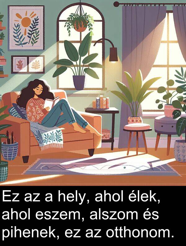 pihenek: Ez az a hely, ahol élek, ahol eszem, alszom és pihenek, ez az otthonom.