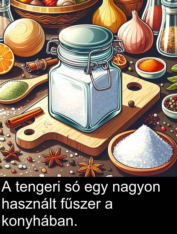 használt: A tengeri só egy nagyon használt fűszer a konyhában.
