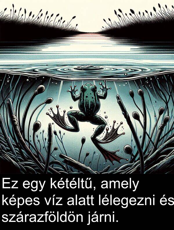 járni: Ez egy kétéltű, amely képes víz alatt lélegezni és szárazföldön járni.