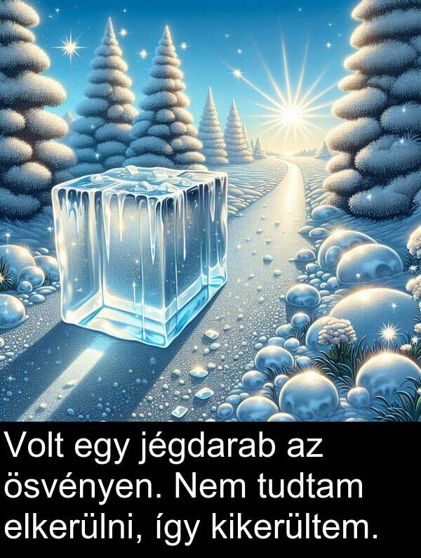 jégdarab: Volt egy jégdarab az ösvényen. Nem tudtam elkerülni, így kikerültem.