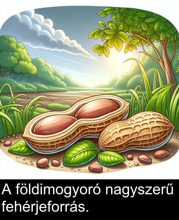 nagyszerű: A földimogyoró nagyszerű fehérjeforrás.