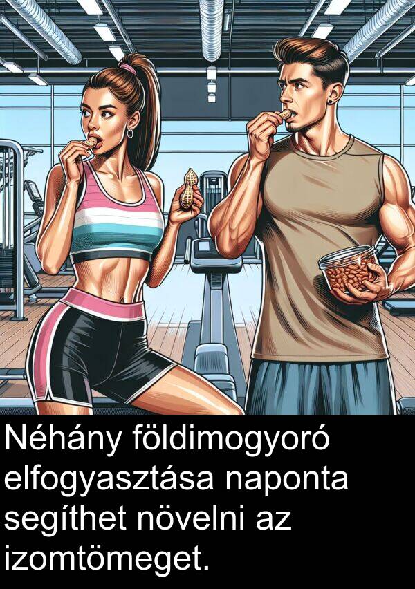 segíthet: Néhány földimogyoró elfogyasztása naponta segíthet növelni az izomtömeget.