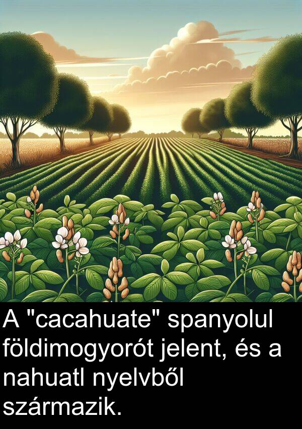 nahuatl: A "cacahuate" spanyolul földimogyorót jelent, és a nahuatl nyelvből származik.