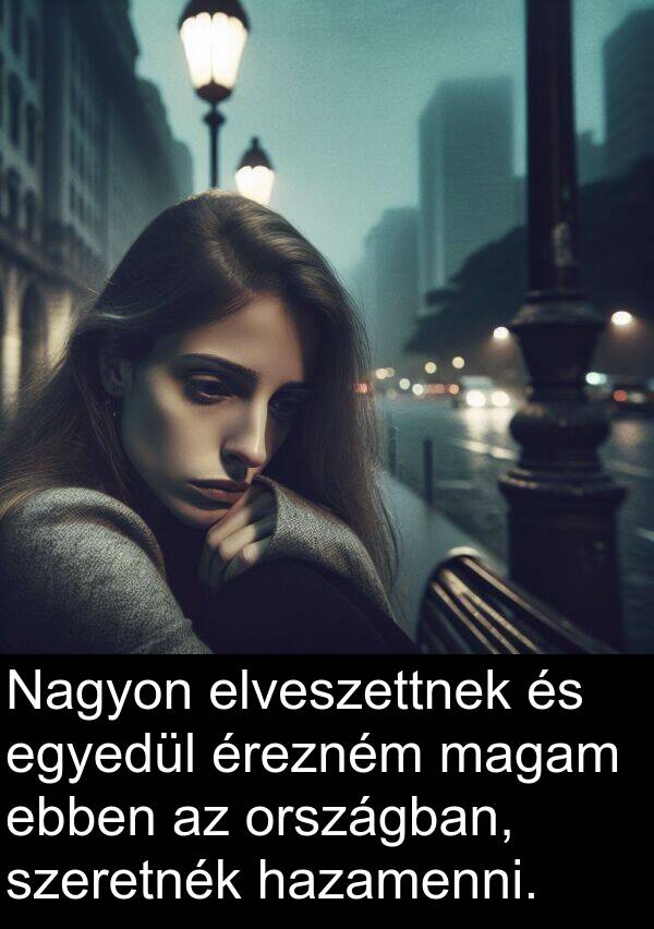 magam: Nagyon elveszettnek és egyedül érezném magam ebben az országban, szeretnék hazamenni.