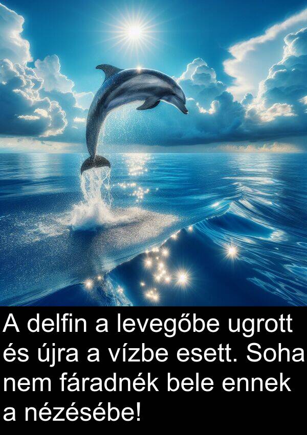 újra: A delfin a levegőbe ugrott és újra a vízbe esett. Soha nem fáradnék bele ennek a nézésébe!