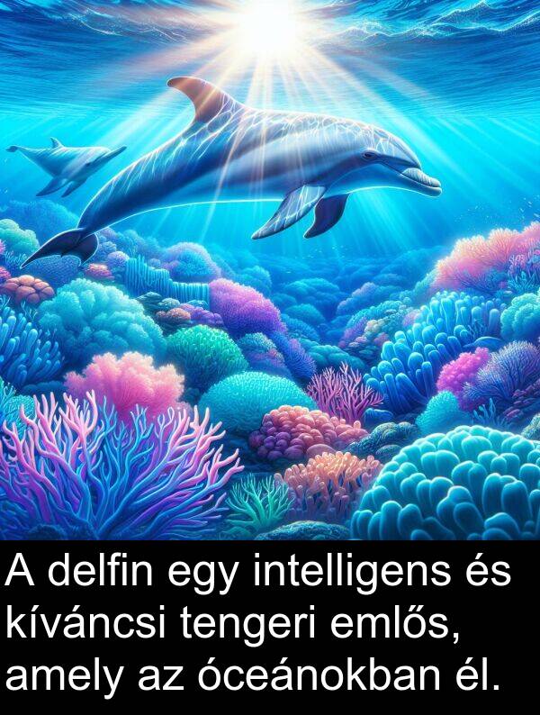 óceánokban: A delfin egy intelligens és kíváncsi tengeri emlős, amely az óceánokban él.