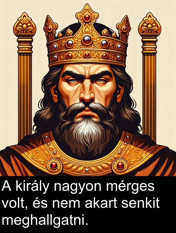 meghallgatni: A király nagyon mérges volt, és nem akart senkit meghallgatni.