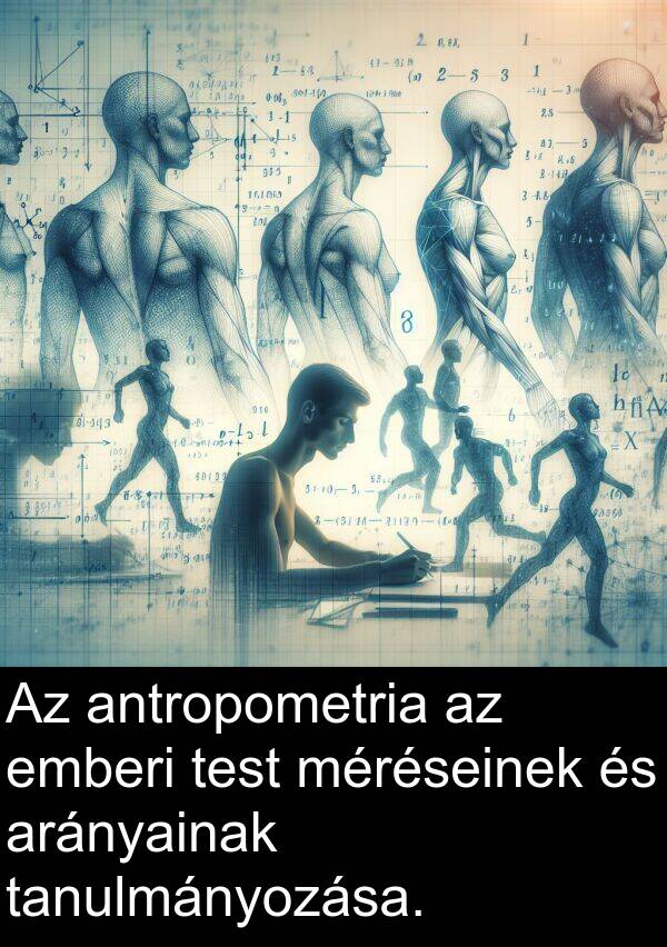 méréseinek: Az antropometria az emberi test méréseinek és arányainak tanulmányozása.