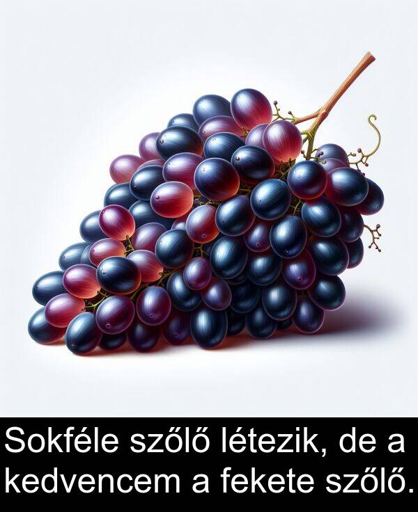 szőlő: Sokféle szőlő létezik, de a kedvencem a fekete szőlő.