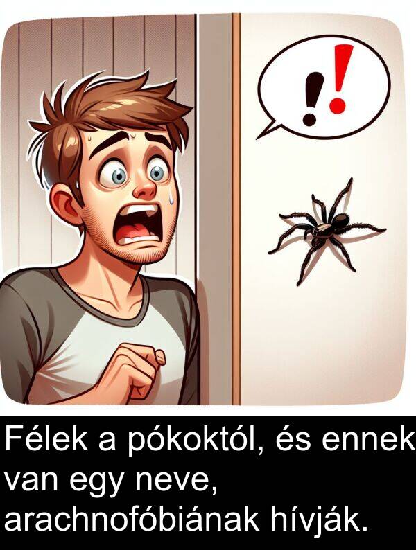 pókoktól: Félek a pókoktól, és ennek van egy neve, arachnofóbiának hívják.