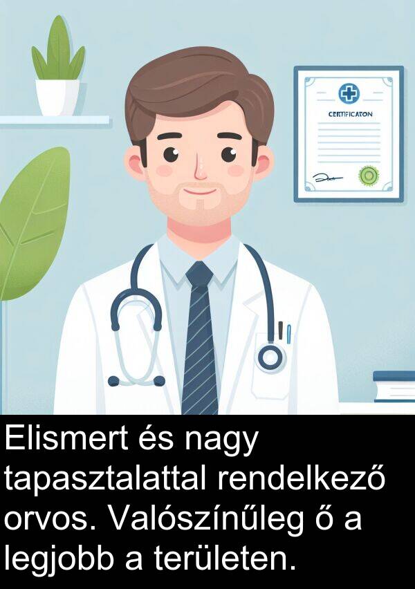orvos: Elismert és nagy tapasztalattal rendelkező orvos. Valószínűleg ő a legjobb a területen.